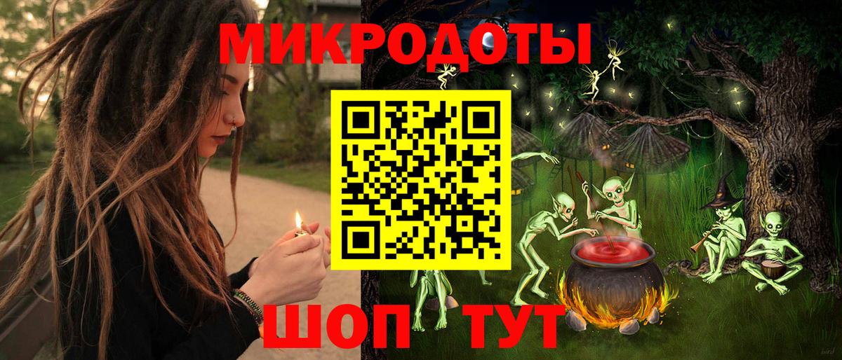 Псилоцибиновые грибы Psilocybe Междуреченск