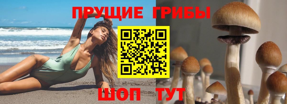 Междуреченск  Галлюциногенные грибы Magic Shrooms  Вход с VPN 